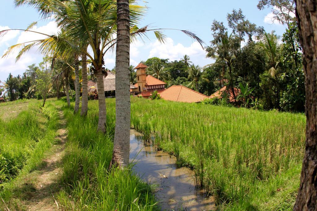 Hotel Villa Ubud 외부 사진