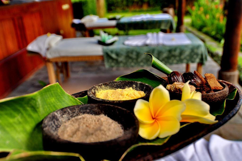 Hotel Villa Ubud 외부 사진